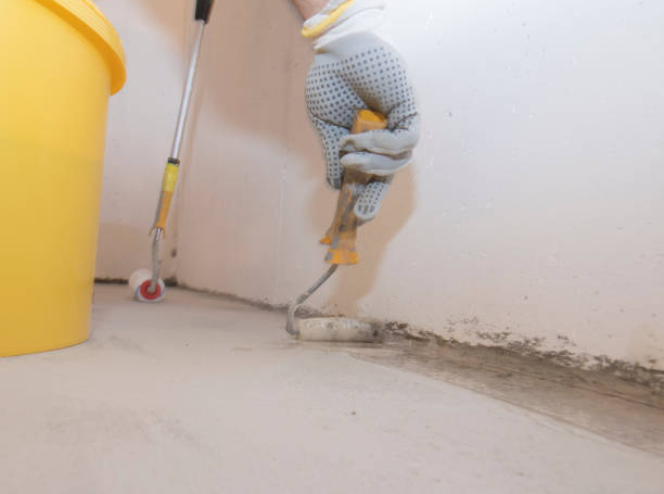 Best Pest Exclusion Services  in Harbour Heights, FL